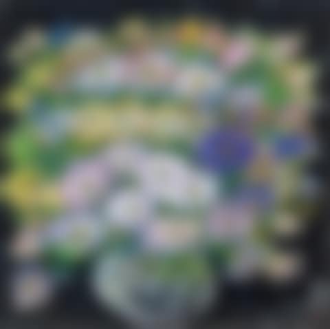 Bottle flower (preview)