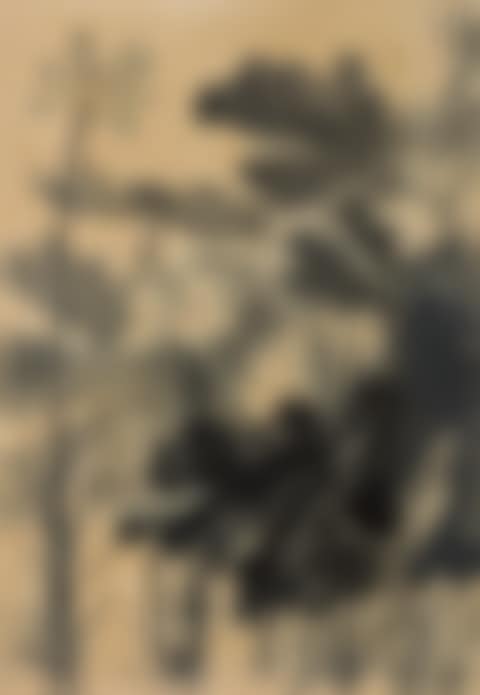 Lotus (preview)