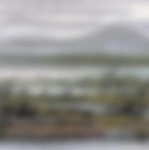 Wild Geese Flying Over Reeds (preview)