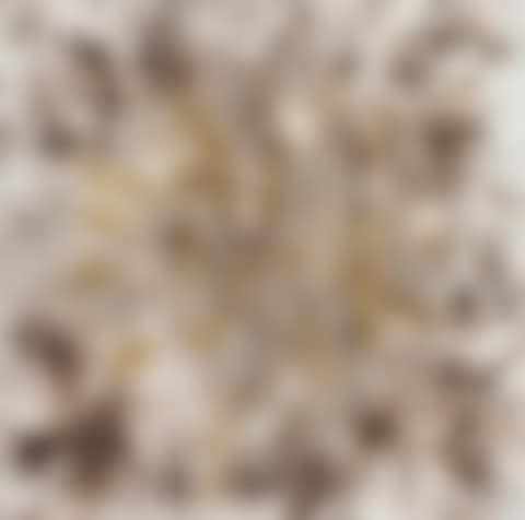 Yellow Peonies (preview)