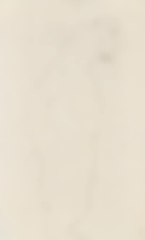 Standing Nude (preview)