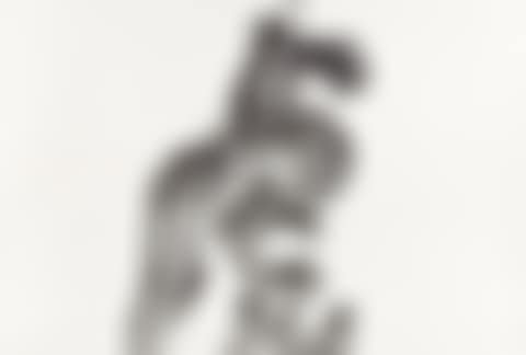 Tiger (preview)