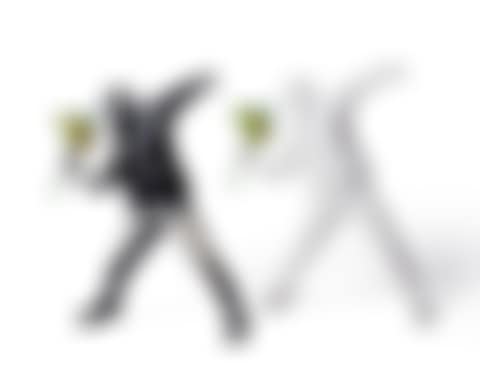 Flower Bomber (preview)