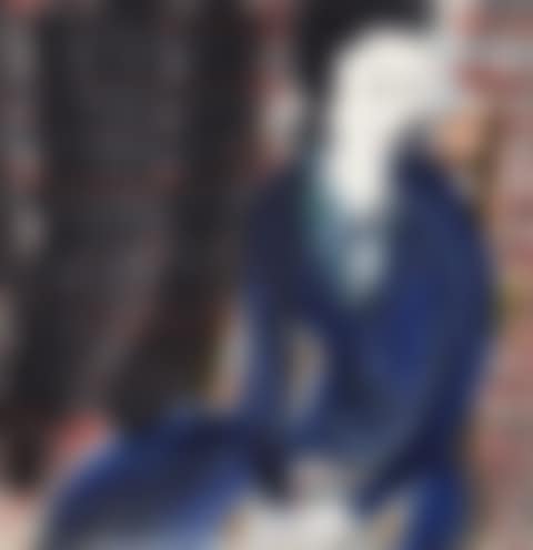 Lady in Blue (preview)