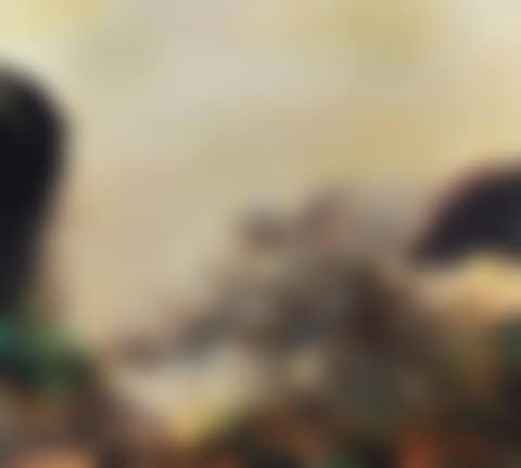 24.01.73 (preview)
