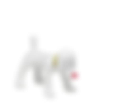 Doggy Radio (preview)