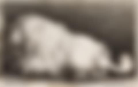 A Poodle; The Dead Mole; and The Dead Hare (Three Works) (Pennington 2097, 2106, 2058; New Hollstein 1073, 908, 1068) (preview)