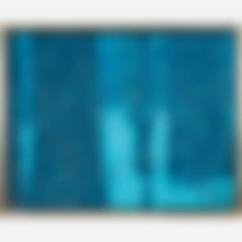 Woodland Silence (preview)