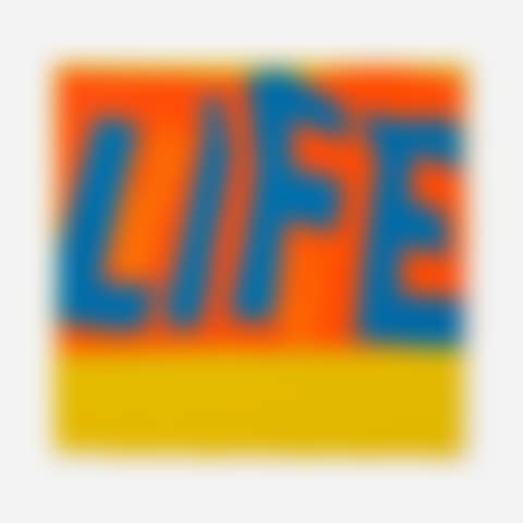 life is a complicated business (preview)