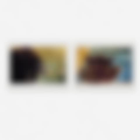 Untitled (Feathers, Birds) (two works) (preview)