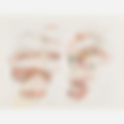 Untitled (Bouquets of People) (preview)