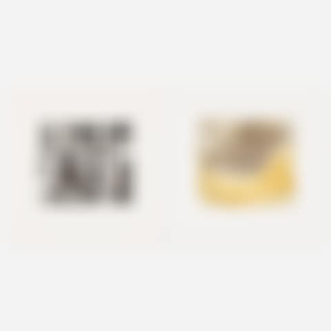 Fruit Juice Bottles IV, State I; Laboratory Still No. 3 (two works) (preview)