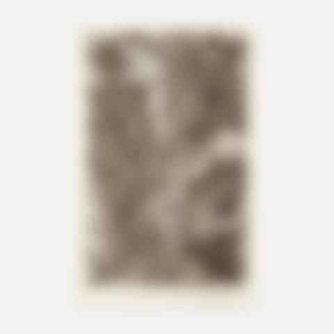 Poems by Wallace Stevens (preview)