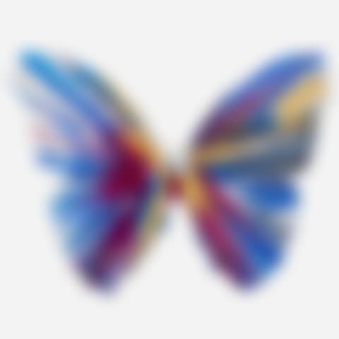 Butterfly Spin Painting (Created at Damien Hirst Spin Workshop) (preview)