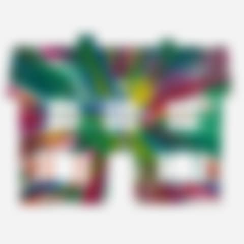 House Spin Painting (Created at Damien Hirst Spin Workshop) (preview)