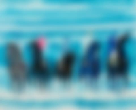 Cavaliers devant les vagues (preview)
