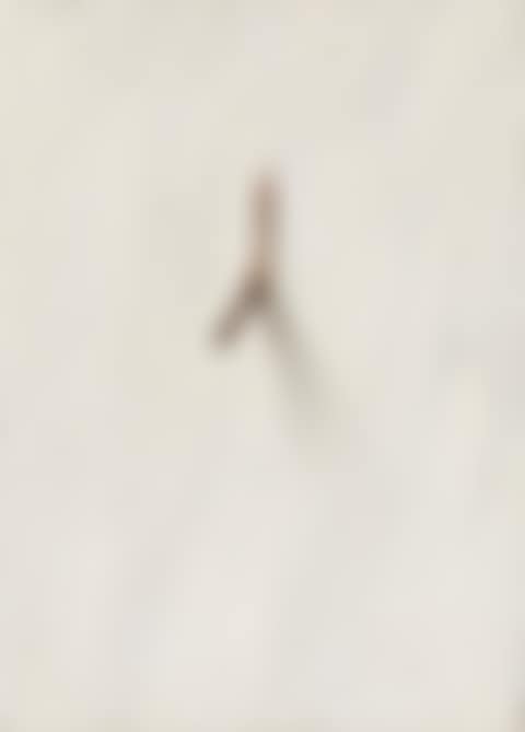 Untitled (preview)