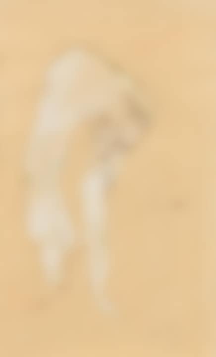 Femme nue penchée en avant (preview)