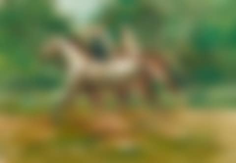 Der Ausritt (preview)