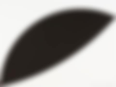 Two curves (Black Curves)  (preview)