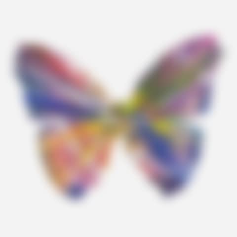 Butterfly Spin Painting (Created at Damien Hirst Spin Workshop) (preview)