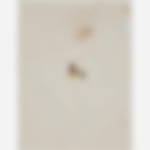 Untitled (preview)