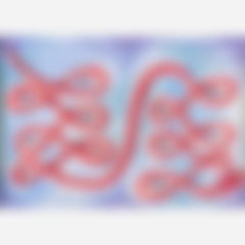 Snake (preview)