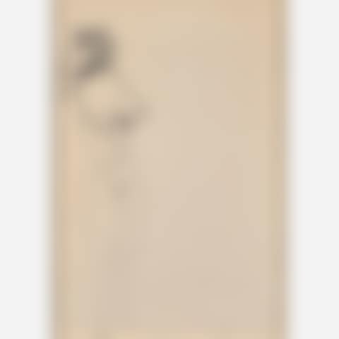 Untitled (Nude) (preview)