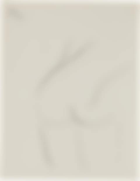 Untitled Nude (preview)