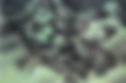 Imagine Landscape No.2 (preview)