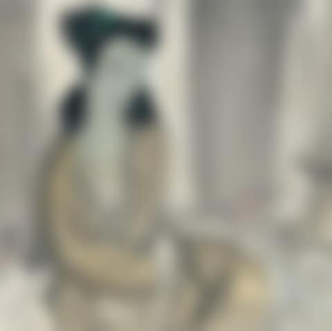 Lady in a Yellow Robe (preview)