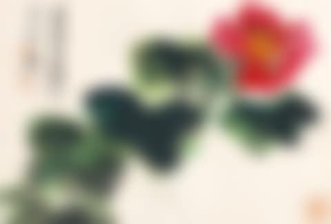 Hibiscus (preview)