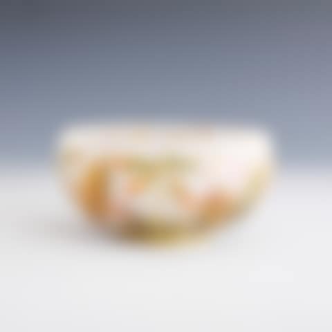 NICOTIANA BOWL (preview)