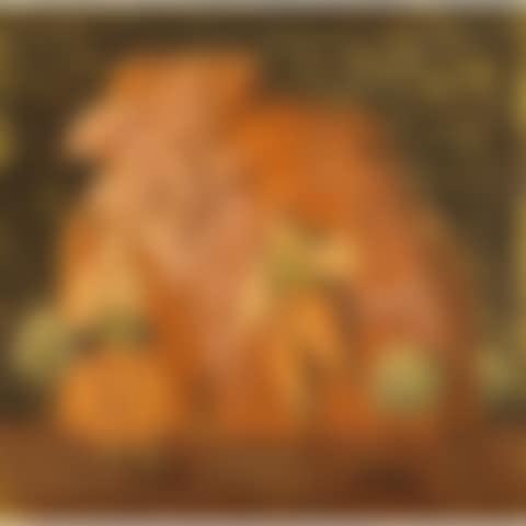 STARRY NIGHT (preview)