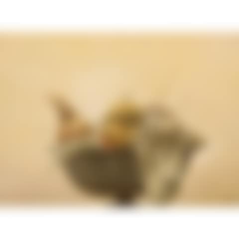 STILL LIFE (preview)
