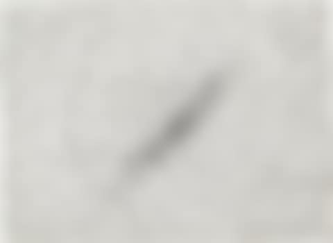 Insect Slant (Ants), from Reality and Paradoxes (E. 69) (preview)