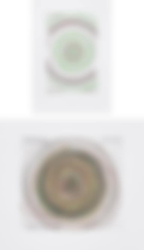 In a Spin, the Action of the World on Things, Volume I: two plates (preview)