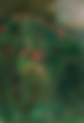 Le rosier fleuri (probably the Jardin du Petit Gennevilliers) (preview)