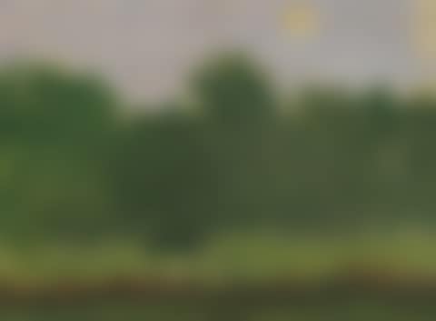 Green forest (preview)