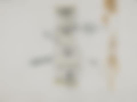 Parts of face (preview)