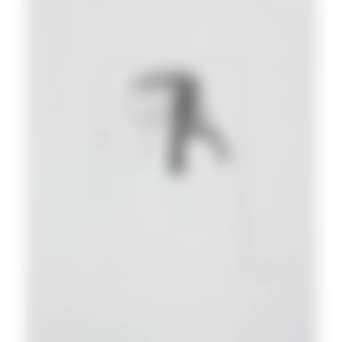Untitled (Study for the first marriage) (preview)
