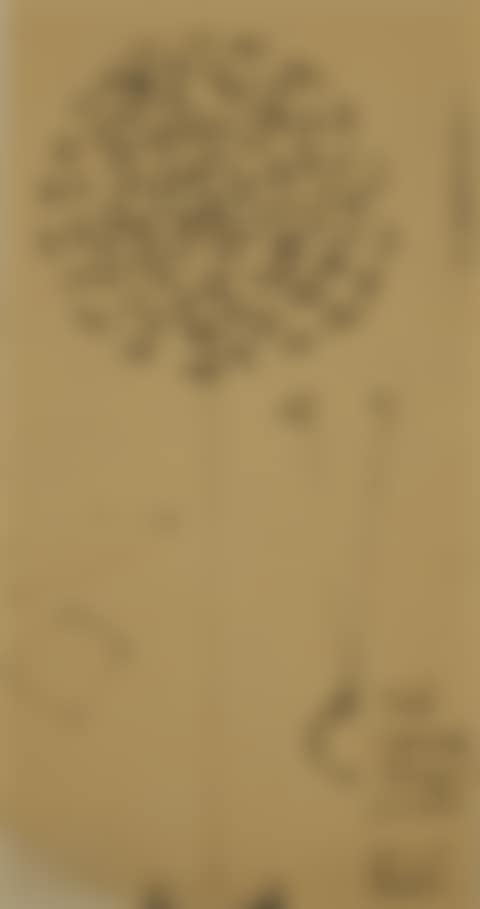 Study for sculpture (preview)