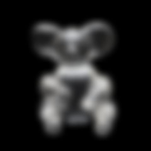 Koala Bear (preview)