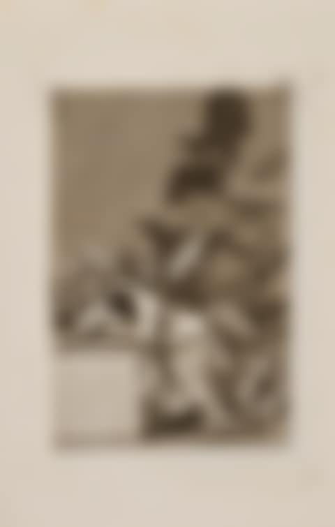 Los Caprichos (preview)