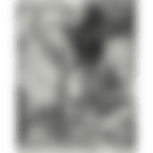 Swan Engraving V (Axsom 161) (preview)