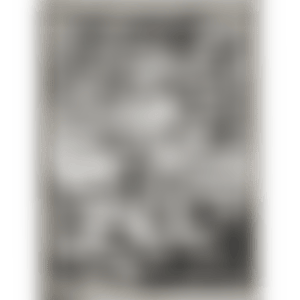 Swan Engraving Framed Ⅰ (Axsom 167) (preview)