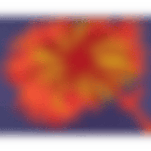 FLOWERS C (Kusama 351) (preview)