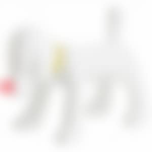 DOGGY RADIO (preview)