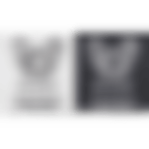 1. Red Dragon White Platinum／2. Red Dragon Jet Black (preview)