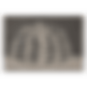 Pumpkin (preview)